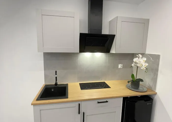 Blue 公寓 弗罗茨瓦夫